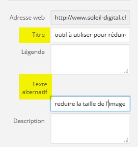 texte alternatif et title dans wordpress