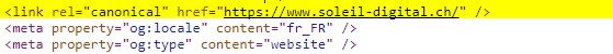 rel canonical