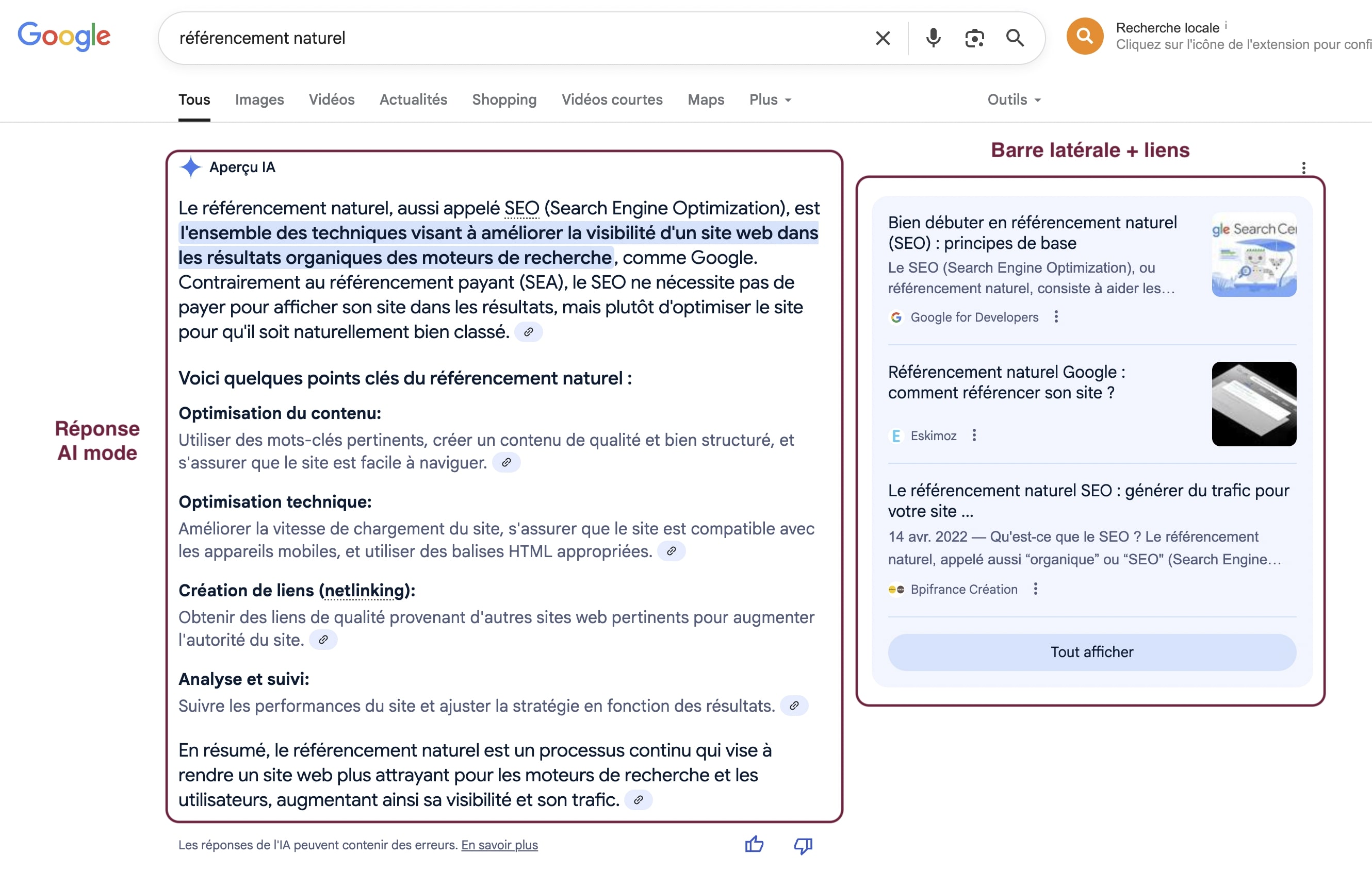 mode AI overview dans Google