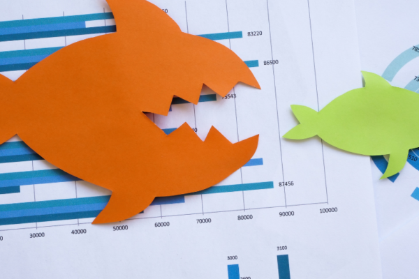 Guide SEO vs SEA vs Social 2025