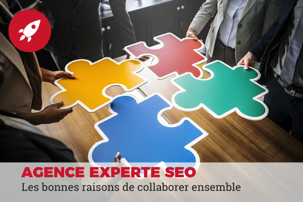 agence expert seo